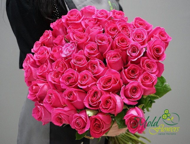 Trandafiri Ciclamen "ECUADOR" foto